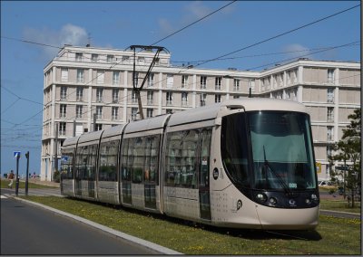 Postkarte Le Havre (Frankreich) - Citadis 302 Niederflur-Gelenktriebwagen 008 (1)