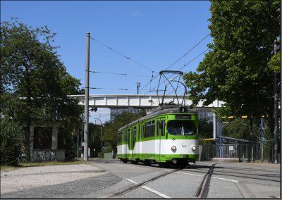 Postkarte Rhein-Neckar - Historischer GT8N Gelenktriebwagen 516